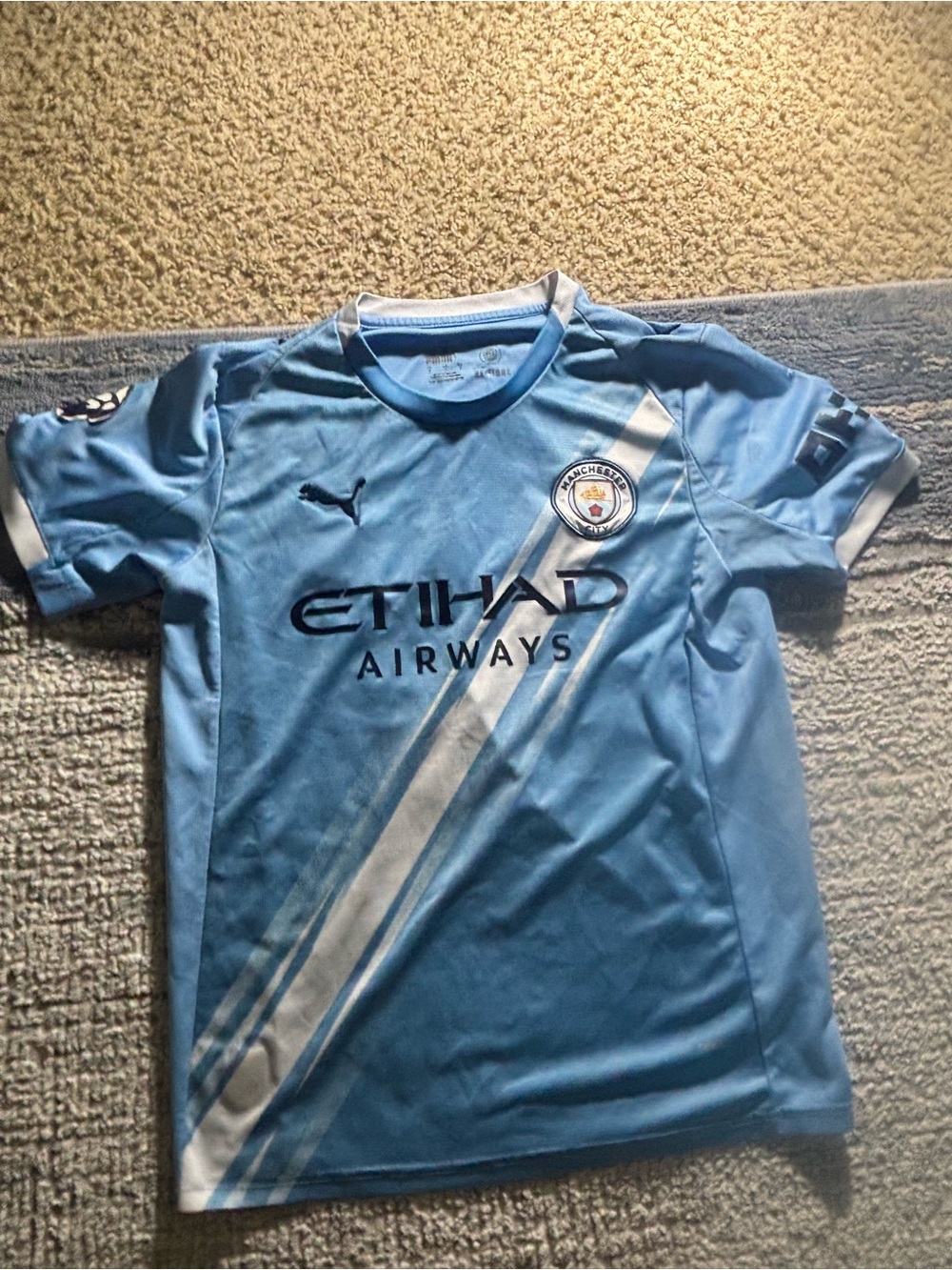 Puma Manchester City Light Blue and White jersey